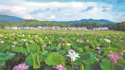 “赣莲”回赣：150亿元的逐梦路