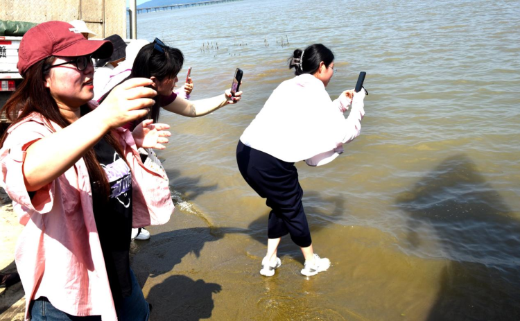 江西湖口：网络达人打卡政府开放日 一场增殖放流激活生态共治“流量密码”_fororder_图片23