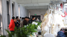 【高质量发展看九江】在“羽翼”与“天空”间，一座青春之城的突围