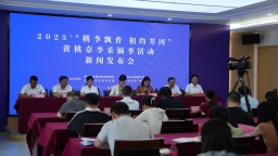 2025“桃李飘香 相约井冈”黄桃奈李采摘季活动新闻发布会召开