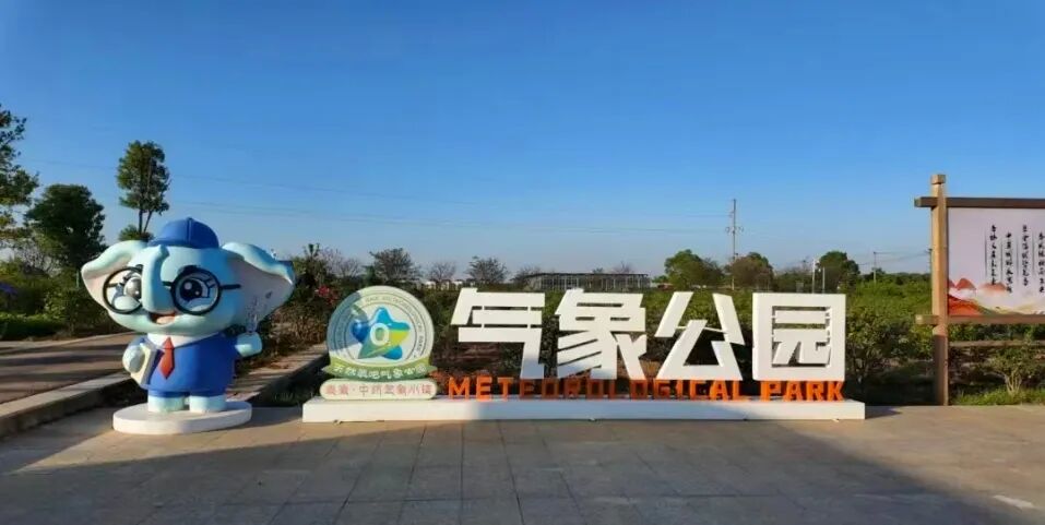 药都焕新・喜迎盛会 | 一粒种子的“金” 色未来