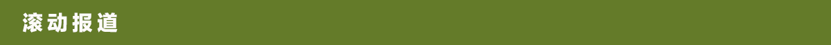 滚动报道栏目条_fororder_微信图片_20260417163119_5510_98