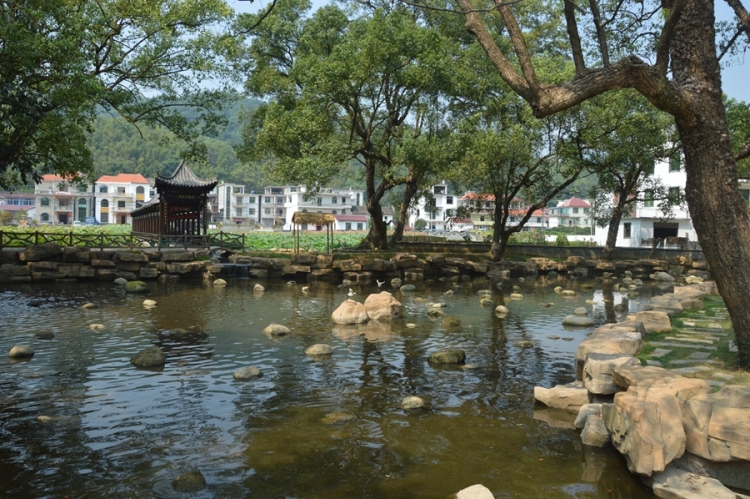 执生态之笔 兴赣鄱乡村——江西小微湿地解锁“绿富美”振兴密码_fororder_2安福县羊思慕镇楼下村小微湿地