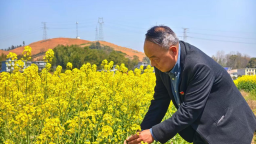 云野耕心处 乡村焕新章——中国电信萍乡分公司驻村书记王云野的乡村振兴实践