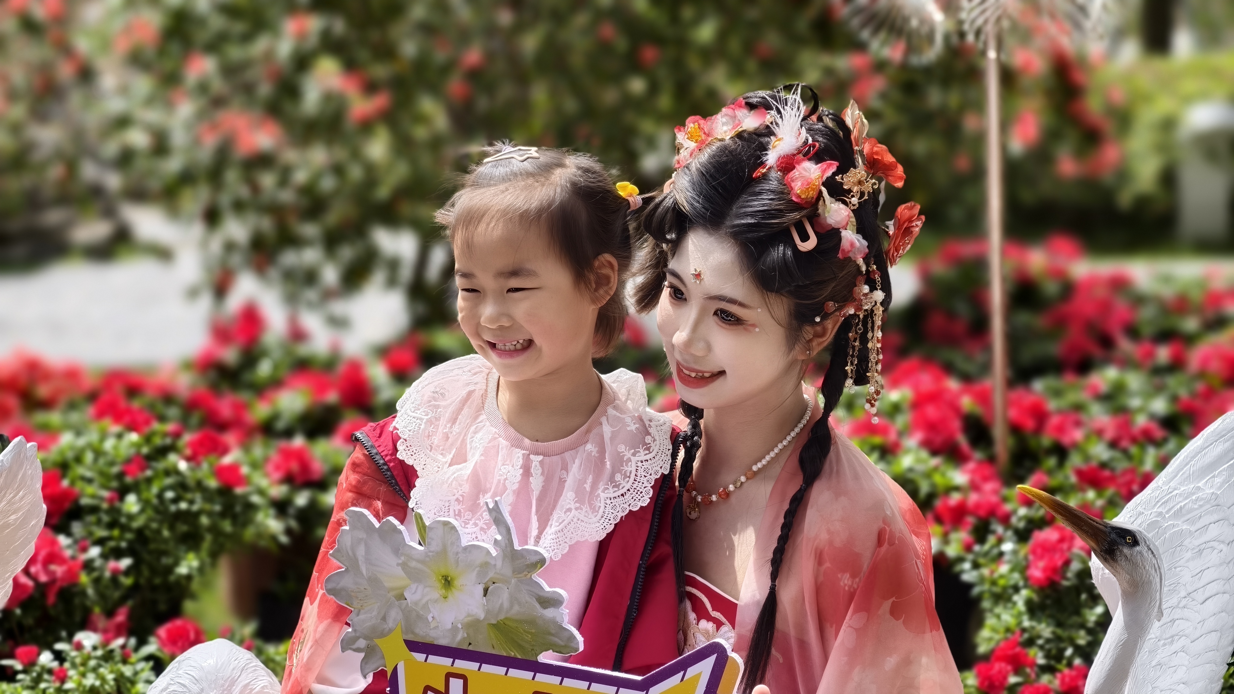 杜鹃花开映山红 文旅融合谱新篇 2025第十六届井冈山杜鹃花节开幕