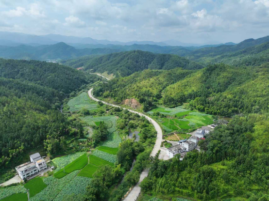 江西石城：“四好农村路”绘就乡村振兴新画卷_fororder_江西石城681