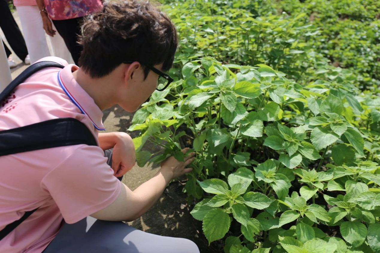 南昌工学院·中国工艺美术大师博物馆：匠心筑梦，艺行宁都_fororder_图片19