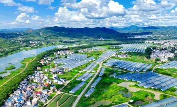 红星照耀中国丨于都河畔传薪火 长江岸线筑翠屏