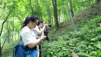 江西湖口：网络名人探访“林药共生”新路径