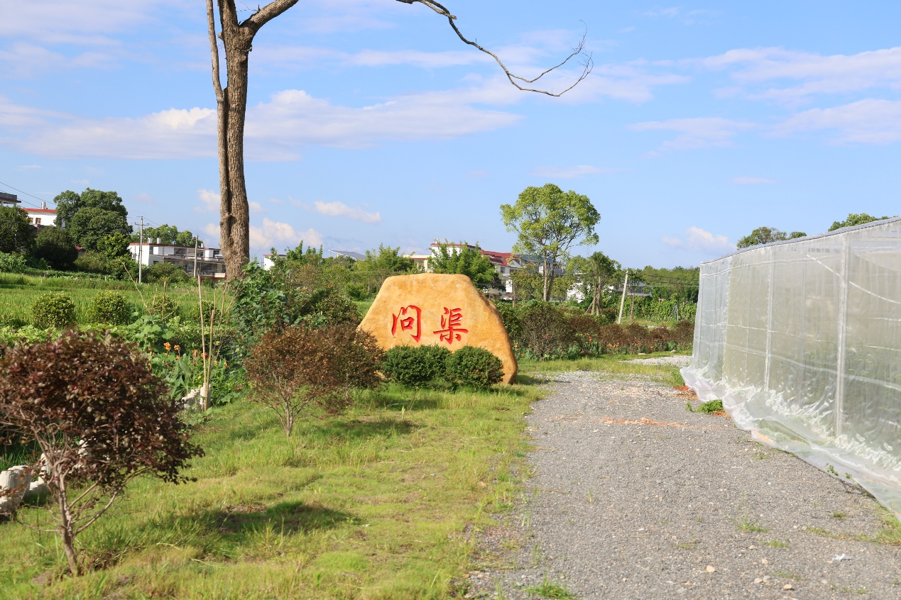 这里颜值价值“双在线”——江西水利电力大学乡村振兴帮扶工作侧记_fororder_图片6