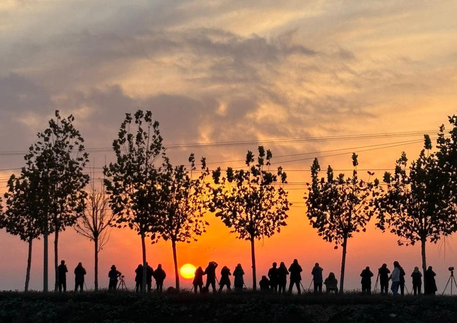 江西余干:数万候鸟“情迷”插旗洲