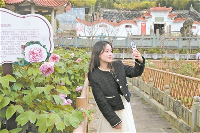 宁德福鼎周山村:牡丹迎客 文旅兴村