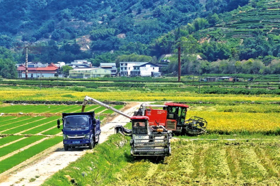 寧德福鼎太姥山鎮:科技助力迎夏糧豐收