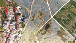 莆田仙游：错落有致的民居与生机盎然的田园相映成景