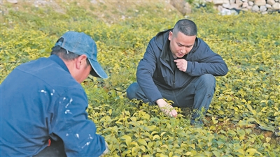 宁德福安:聚才赋能 兴业惠民