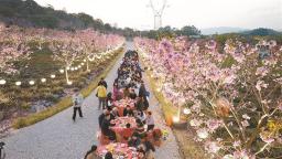 厦门推动农文旅深度融合 从“卖产量”到“卖体验”