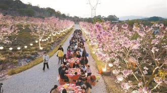 厦门推动农文旅深度融合 从“卖产量”到“卖体验”