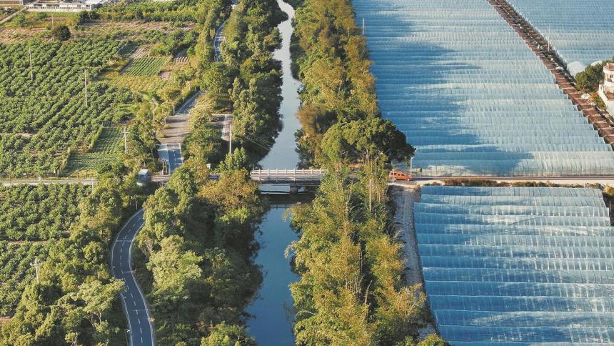 泉州台商区：一溪润沃野  “四美”兴田园