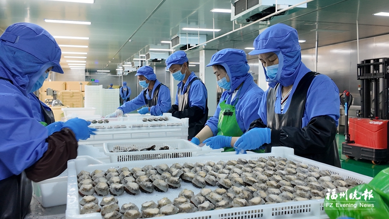 福州罗源鲍鱼制品首次销往台湾地区
