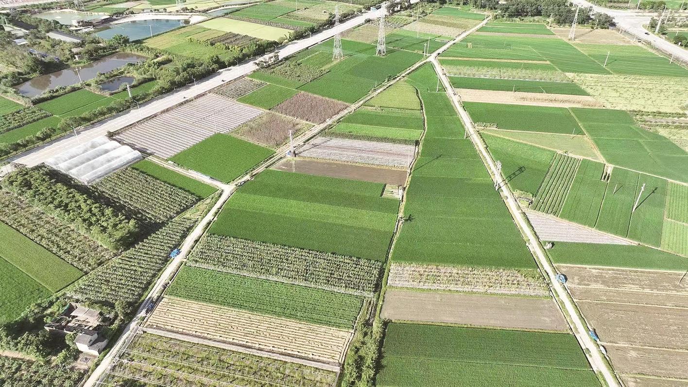 漳州长泰高标准农田建设巧解民生难题