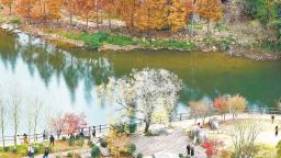 福州晋安九峰村：冬韵如画