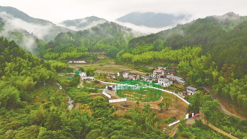 “吉祥之鸟”朱鹮重返福建家园