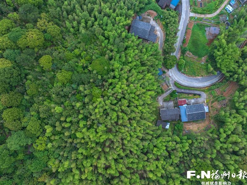 福州:日溪畲乡绘新景 绿水青山带笑颜