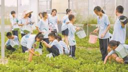 共治共享碳惠民生 绿色生活浸润厦门