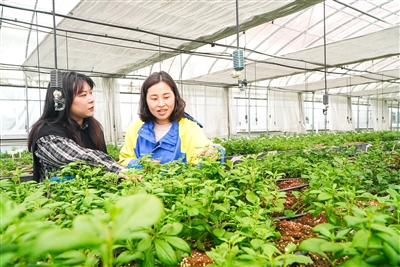 宁德柘荣:厚植营商环境沃土 赋能生物医药产业