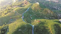 宁德福鼎：一方好风景 一程好“茶”旅