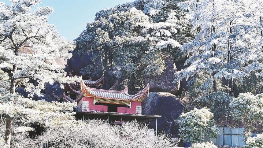 福建迎来雾凇美景
