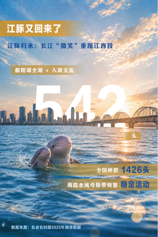 長江十年行 | 看見這條江,152公里長江岸線(九江)的十年蝶變