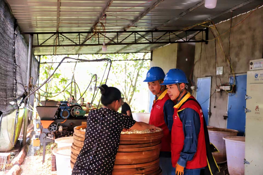 國網上高縣供電公司:荷風伴蓮香 電護豐收忙