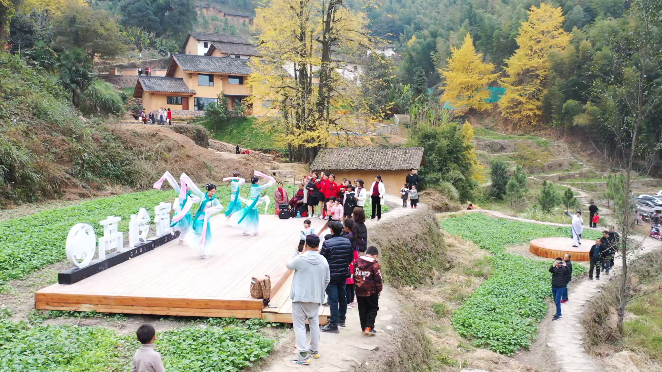 江西万安2025高岭银杏嘉年华即将启幕 null