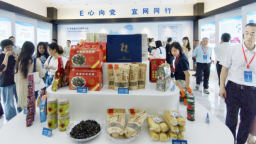 红色E家与一座城的网络法治实践