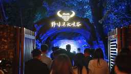 夜游野牛瀑大峡谷：一场“寻福”光影里的文旅新体验