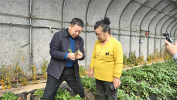 沈阳启动农村残疾人科技助残春耕备耕基层行活动