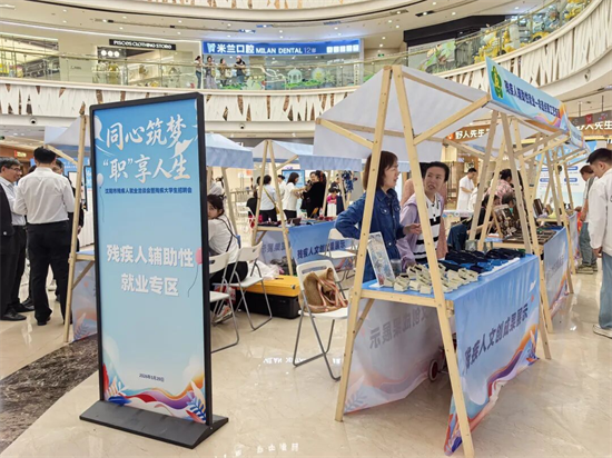 沈阳市残疾人就业洽谈会暨残疾大学生招聘会举行