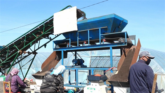 辽宁新民:不负春光好 水稻育苗忙