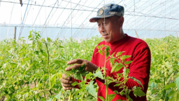 辽宁新民：春日农事忙 特色产业兴