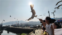 看完“东北超”别急返程 浪漫大连解锁夏日避暑时光