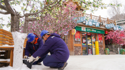 国网本溪供电公司：“科技巡护+网格服务”双擎驱动 筑牢寒潮保电防线