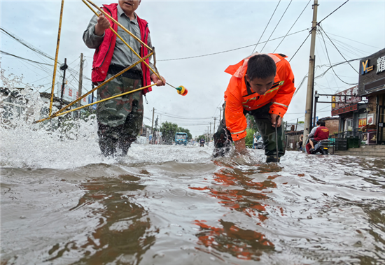 新民市统筹筑牢防汛暖心防线
