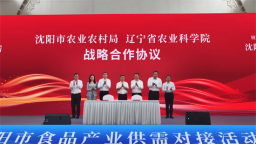 从“种子”到“餐桌”全链发力 沈阳搭台促成食品产业多项务实合作