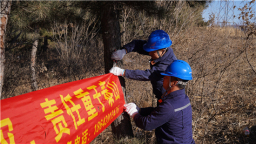 国网阜新供电公司：“科技赋能+政企协同” 织密山火防控安全网