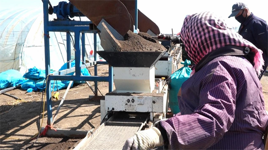 辽宁新民:不负春光好 水稻育苗忙