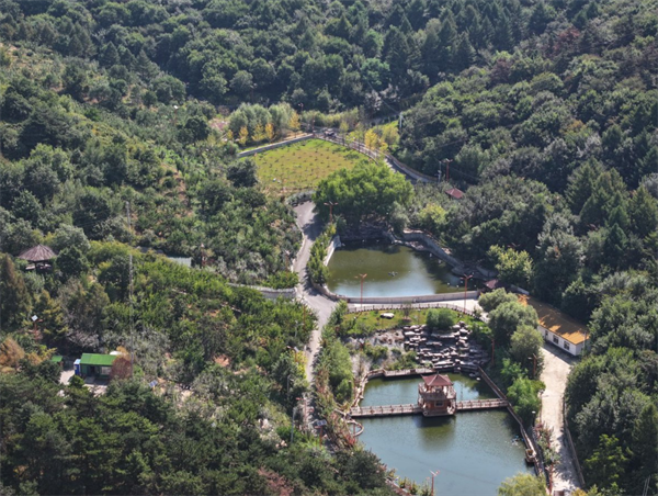 山村蝶变谱新篇 解锁沈阳浑南魏家沟乡村振兴新密码