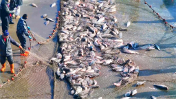 冰湖跃鱼 辽宁“四九”解锁消费新玩法