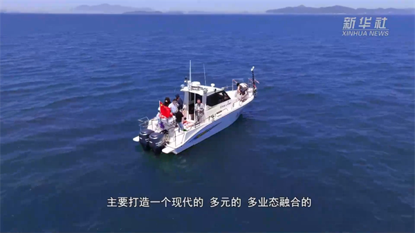 从高端小众到全民玩海 大连游艇经济破浪前行