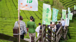 跨越山海遇恩施——国际客商“荆楚行”架起开放合作桥梁